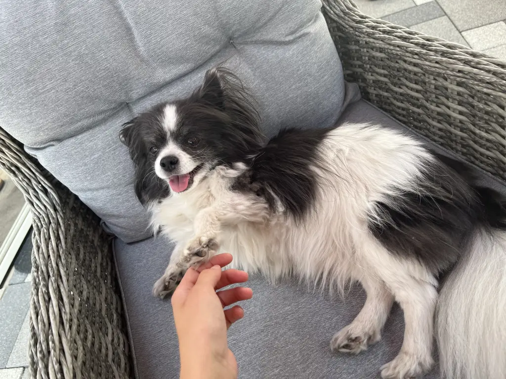 Andachtsbild von Vivien