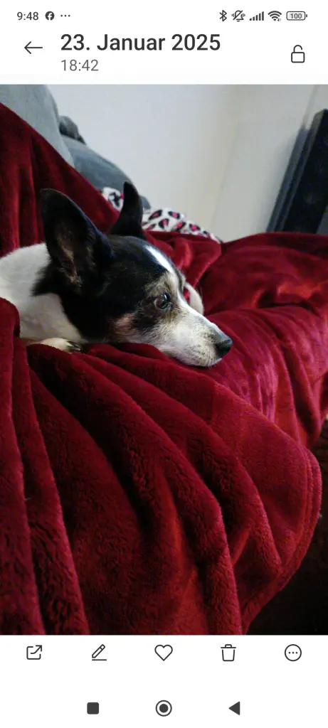 Condolence image of Sabine