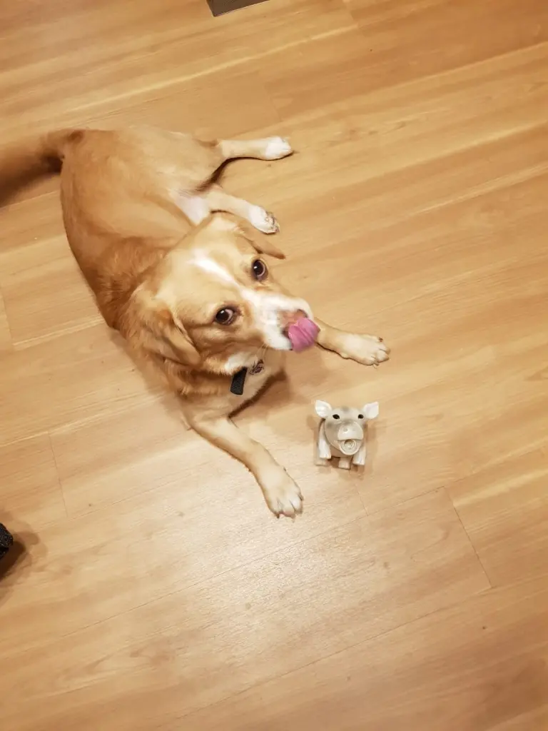 Andachtsbild von Andre Riedel