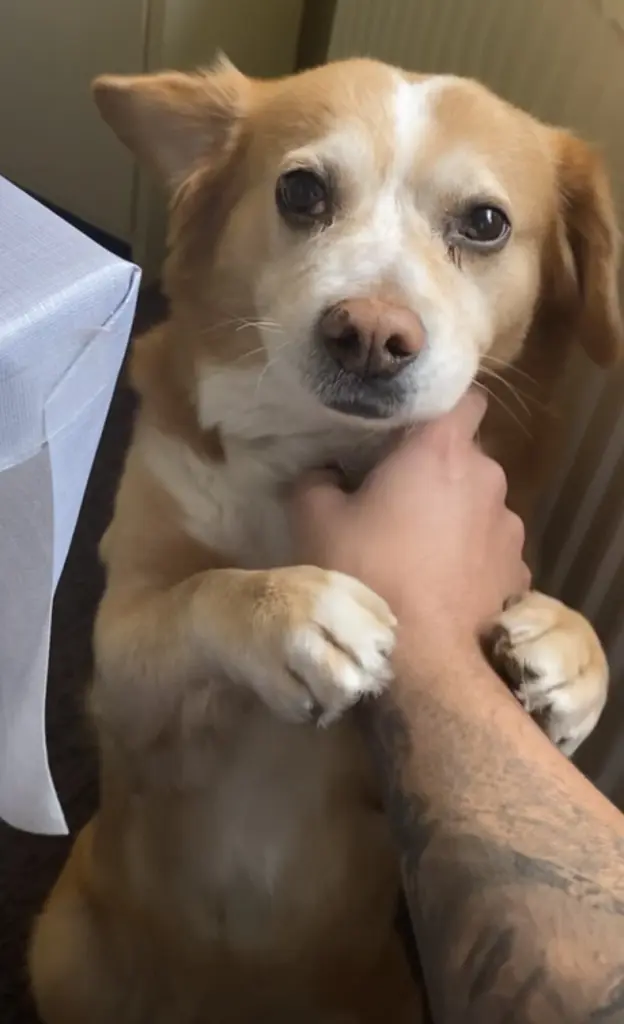 Andachtsbild von Ronny Riedel