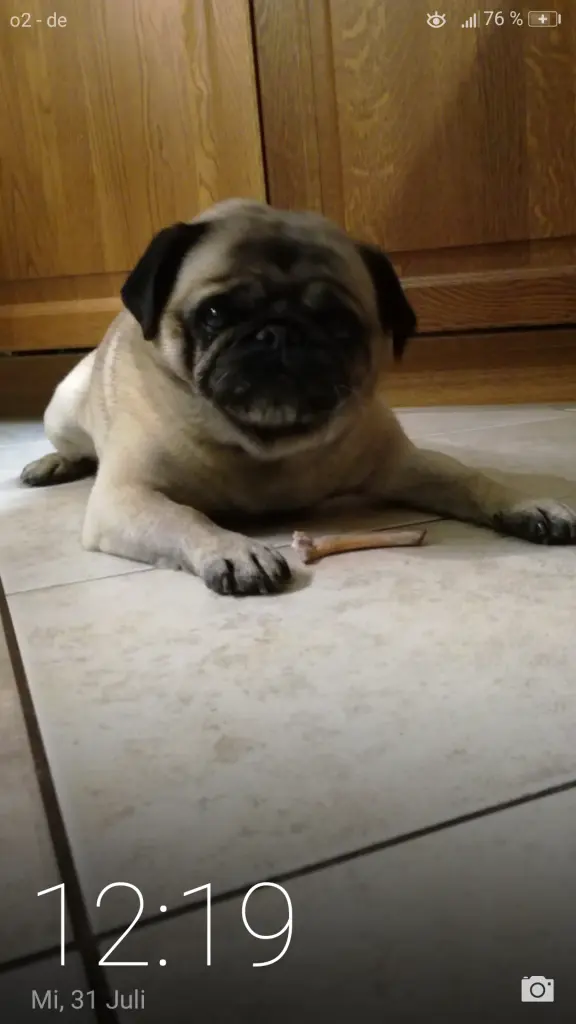 Image from Hector Hannibal