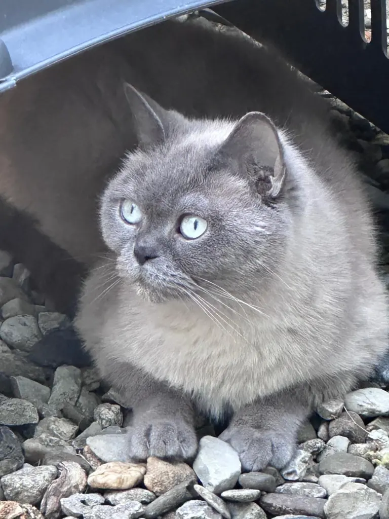 Du hast diesen Platz geliebt. Sommer 2025