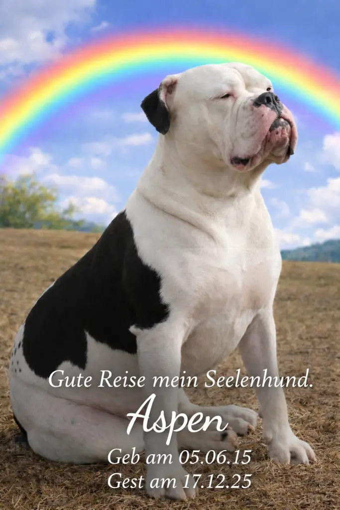 Bild von Aspen