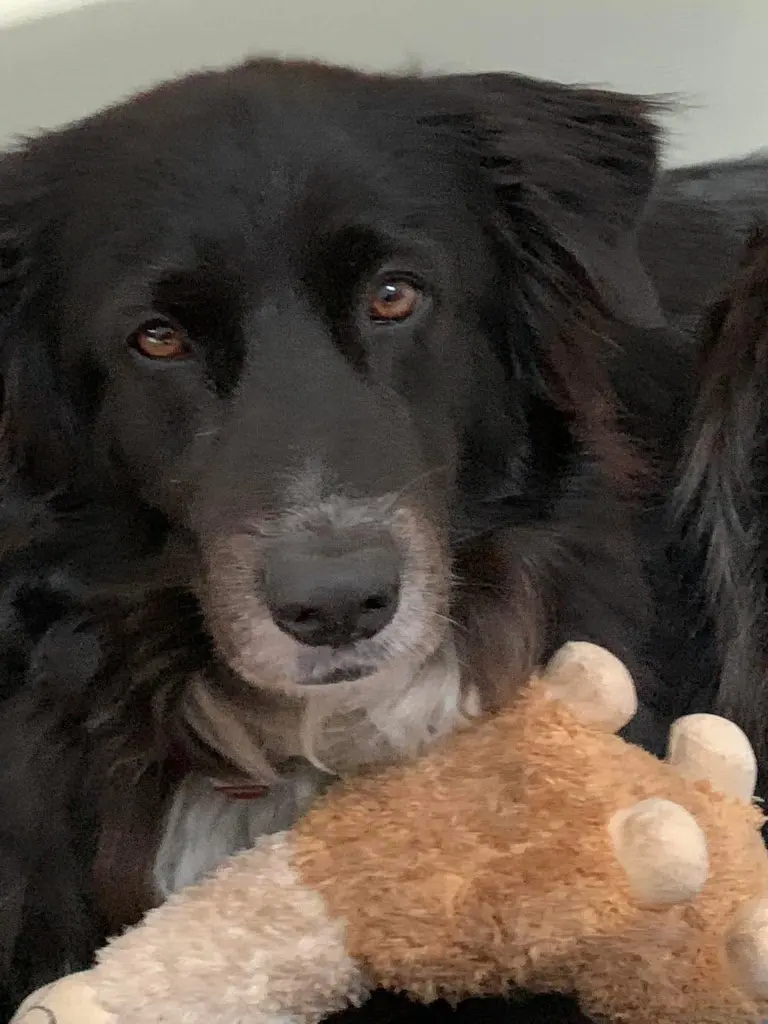 Condolence image of Katharina Humbs