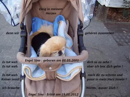 Image from meine einzigartige zauberhafte Sina