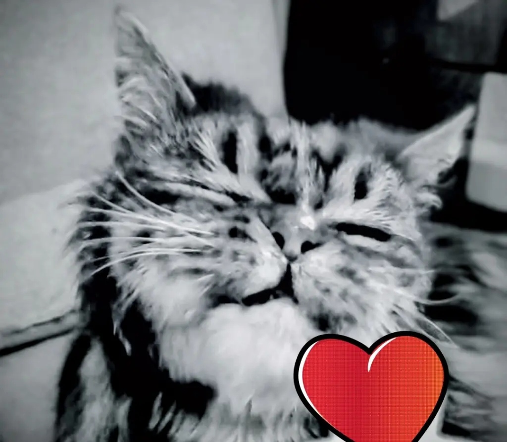 Andachtsbild von Angela mit Snoopy im Herzen