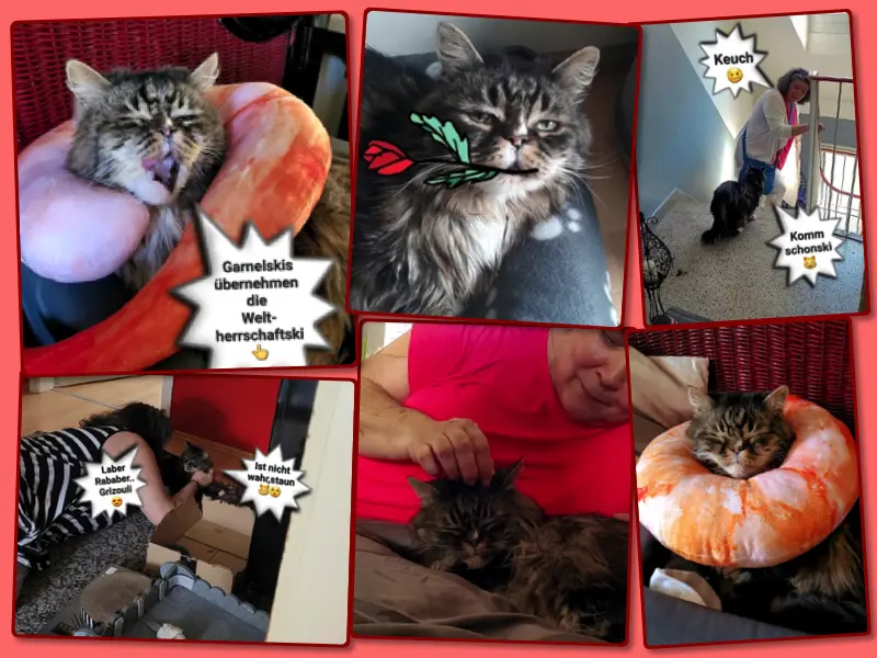 Andachtsbild von Tante Kerstin Schnepfi