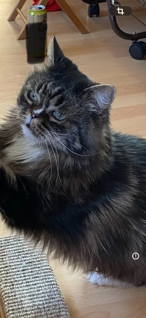 Andachtsbild von Marion Adam-Hertwig