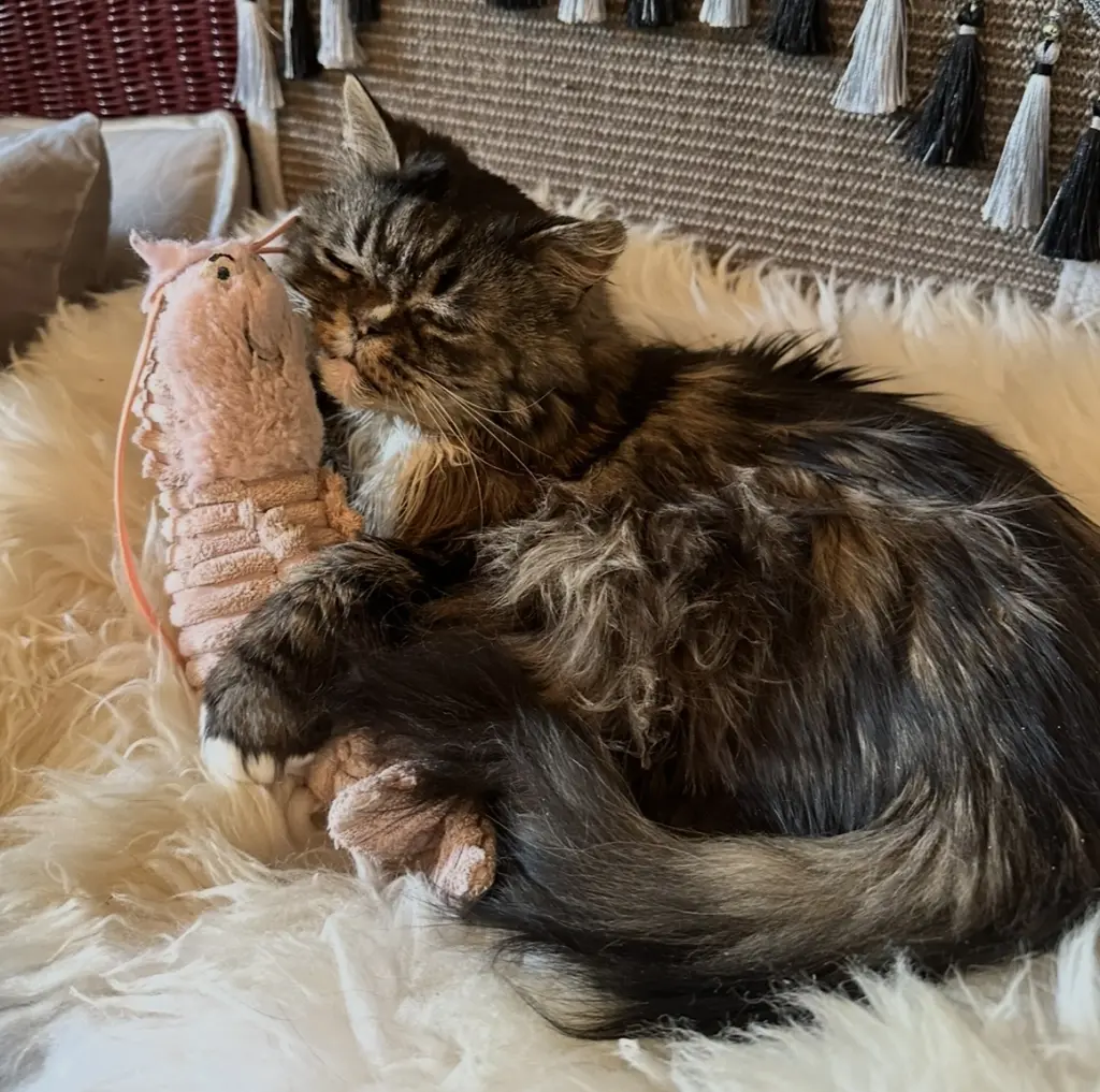 Andachtsbild von Vivien