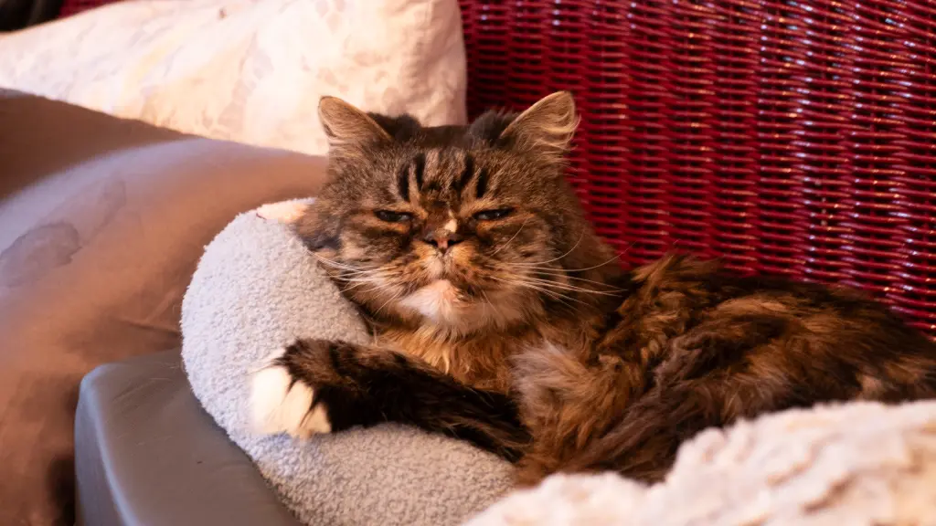 Andachtsbild von Claudia und Edi