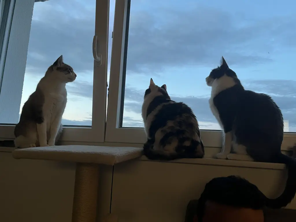 Andachtsbild von Alessandra