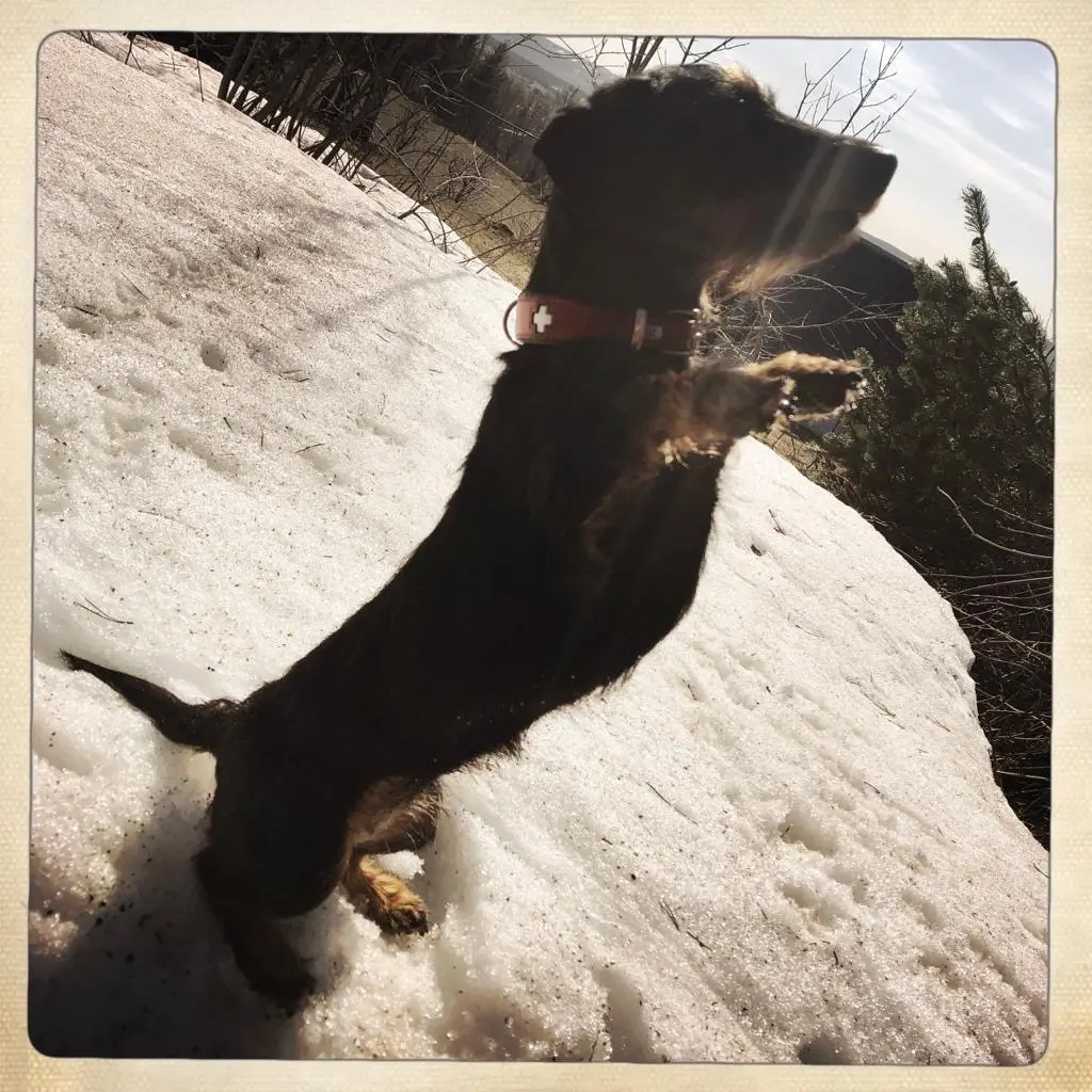 Andachtsbild von Katharina Bielefeld