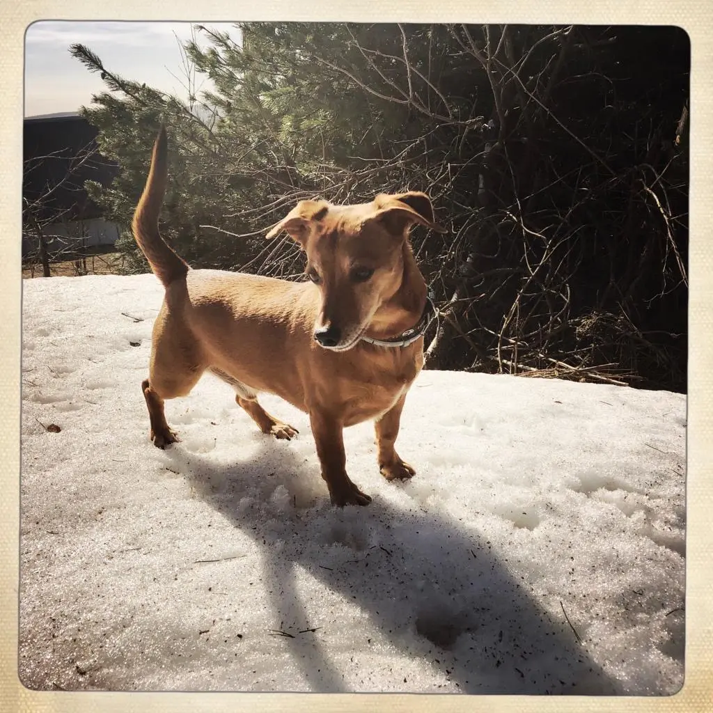 Andachtsbild von Katharina Bielefeld