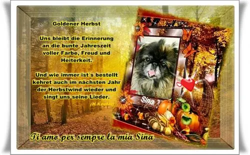 Image from mein für mich unvergessenes Sina-Mädchen