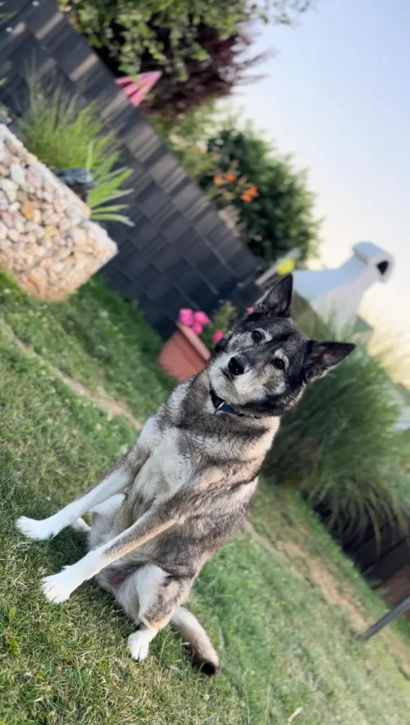 Andachtsbild von Margot Trappen