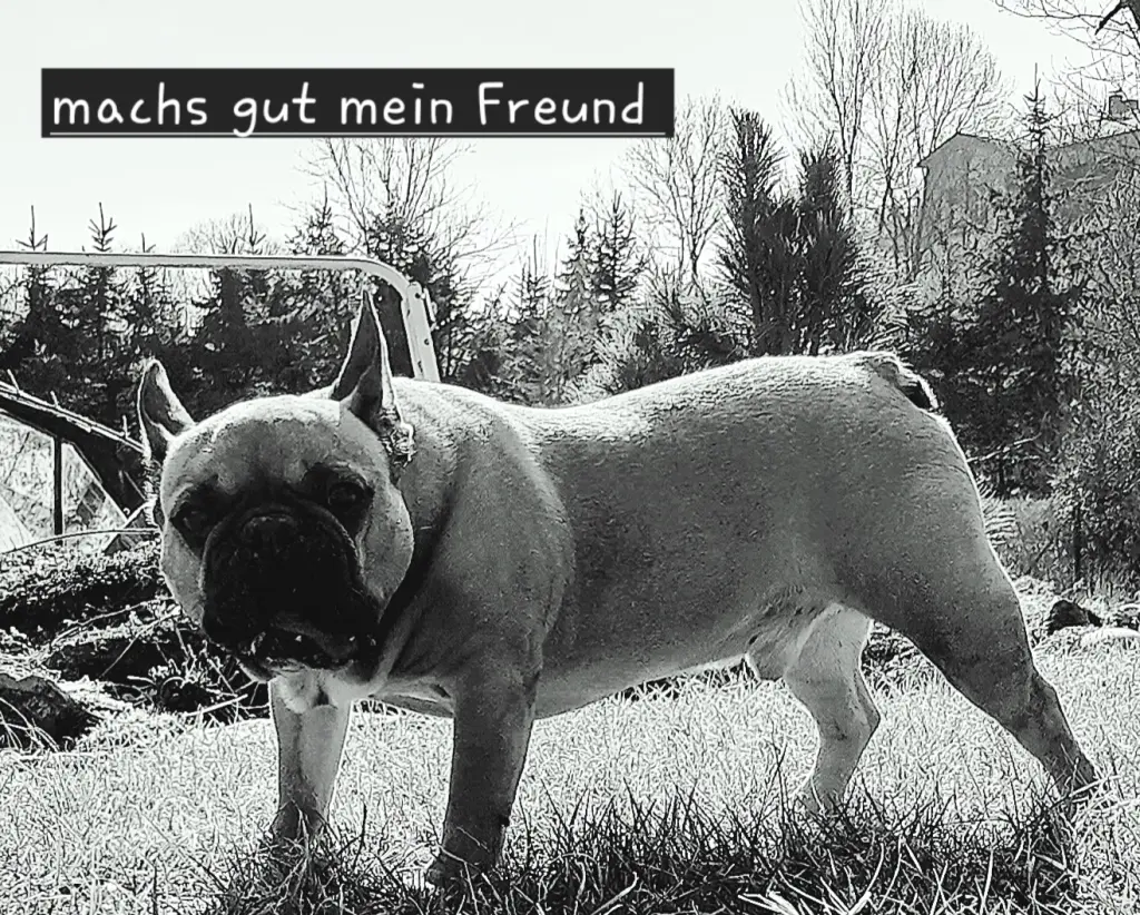 Andachtsbild von Denny Göthel