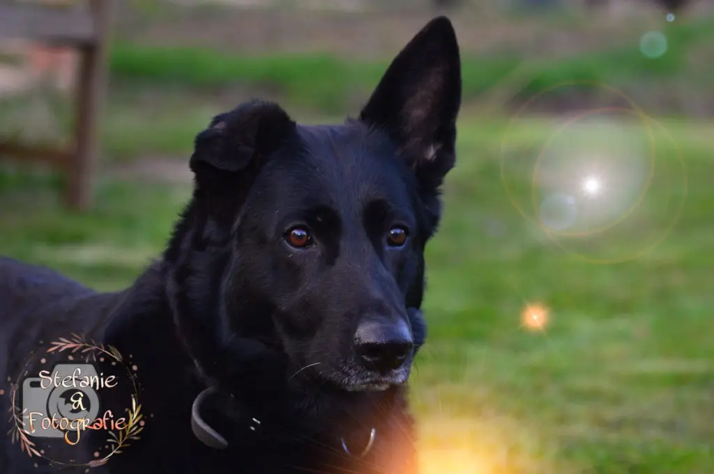 Condolence image of Sabrina Benz