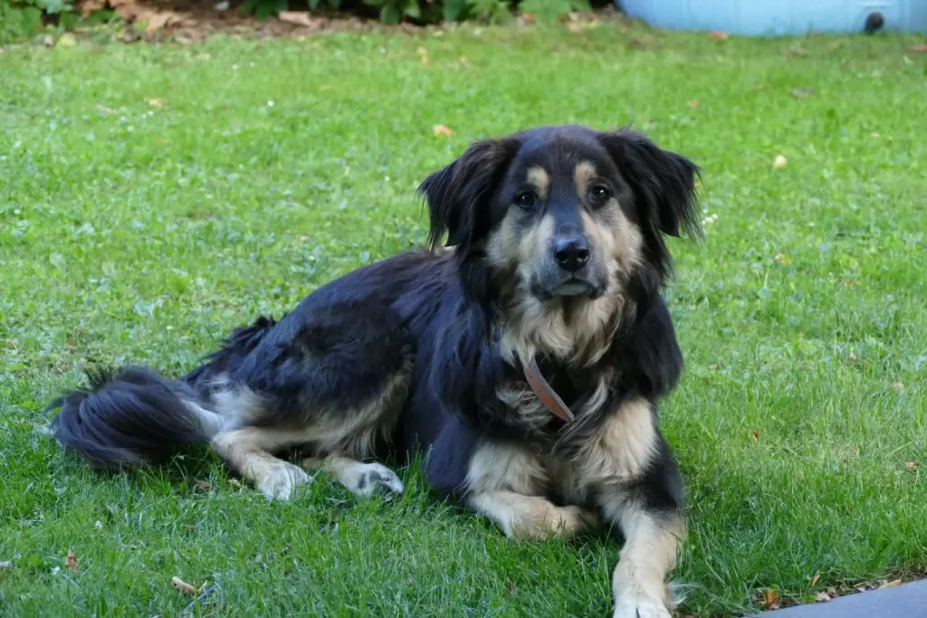 Unser schöner Junge!