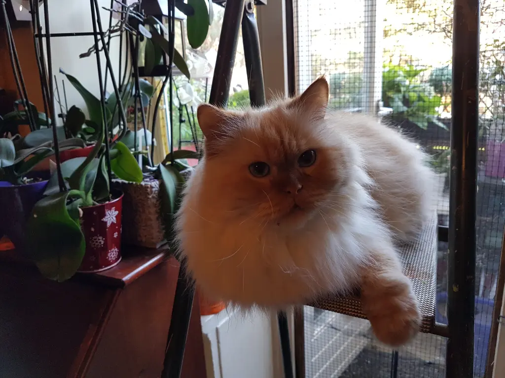 Auf der Leiter hat man eine gute Aussicht