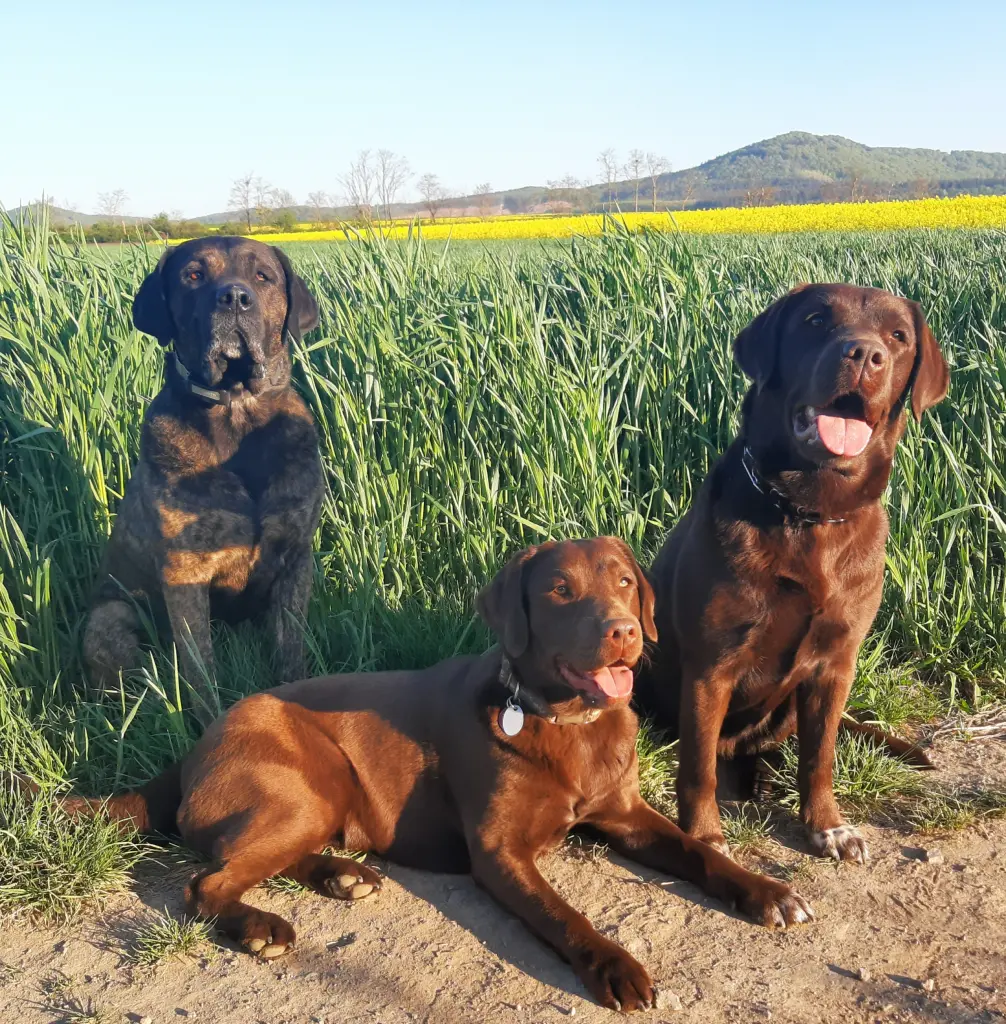 Condolence image of Melanie Mohr-Daferner