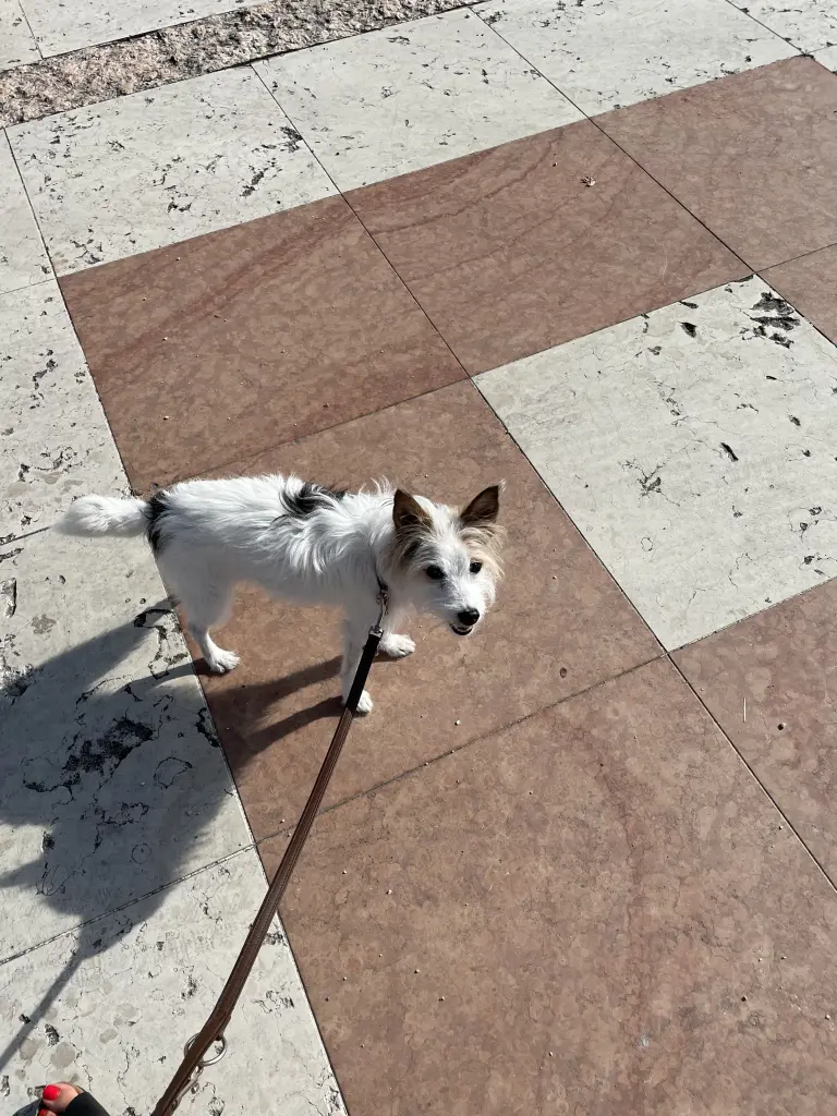 Andachtsbild von Patrick