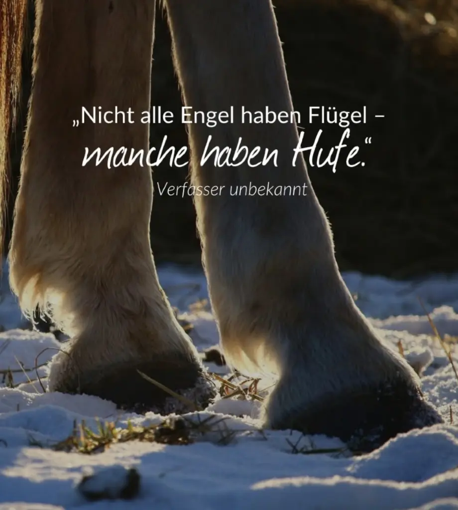 Condolence image of Brigitte Hühn