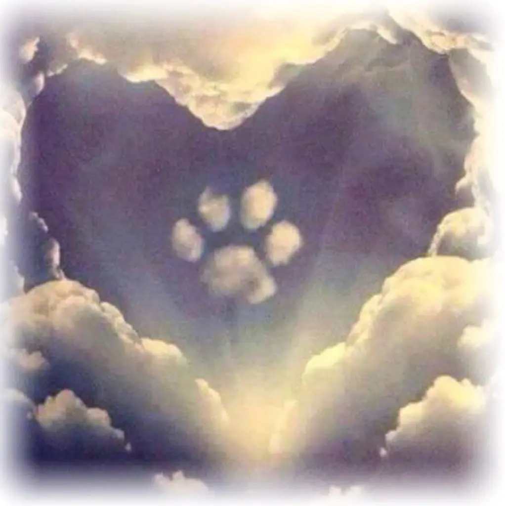 Image from Max