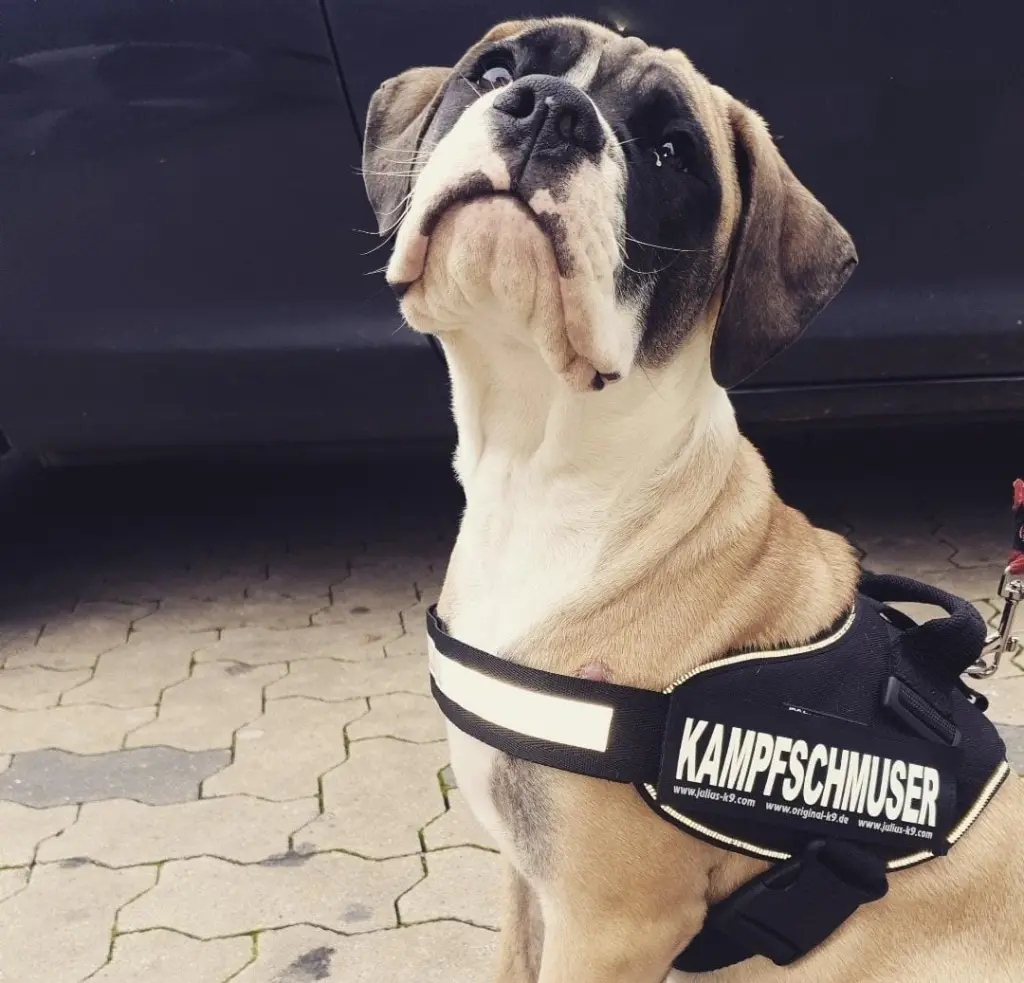 Condolence image of Christoph Mietk