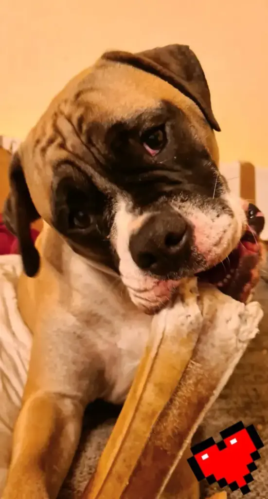 Condolence image of Jacqueline Rechenberg