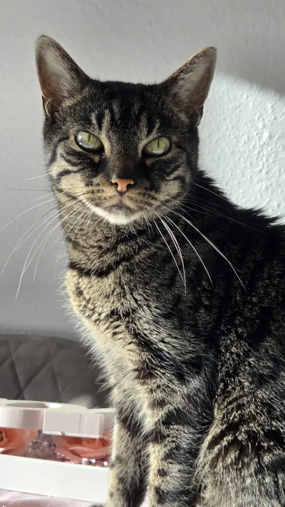 Mein kleiner Kämpfer ❤️