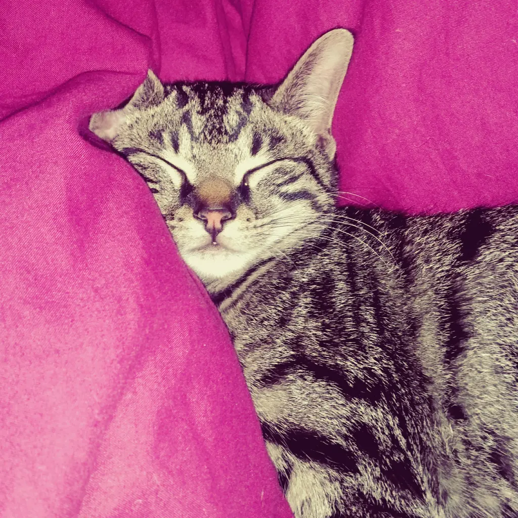 Mein Herz ❤️