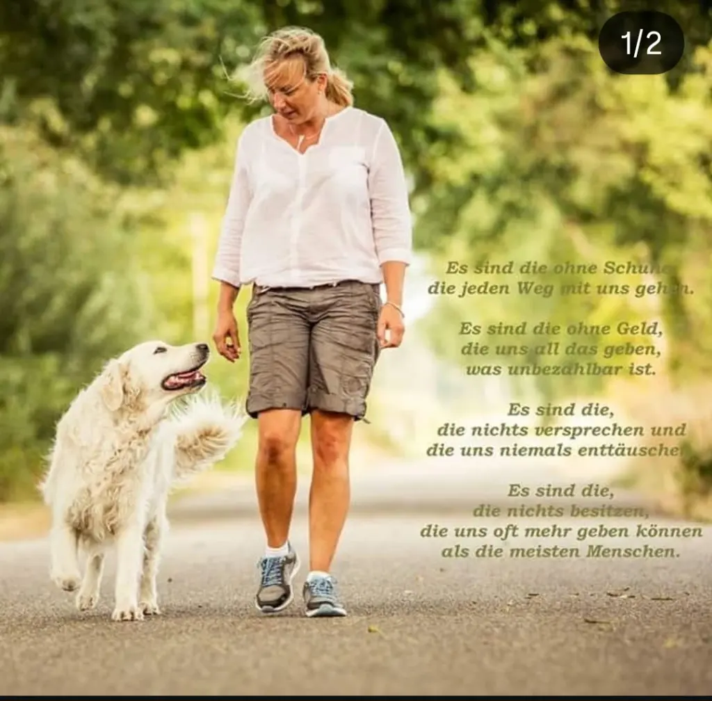 Image from Basko