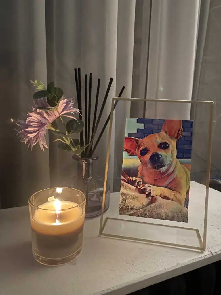 Image from Gucci