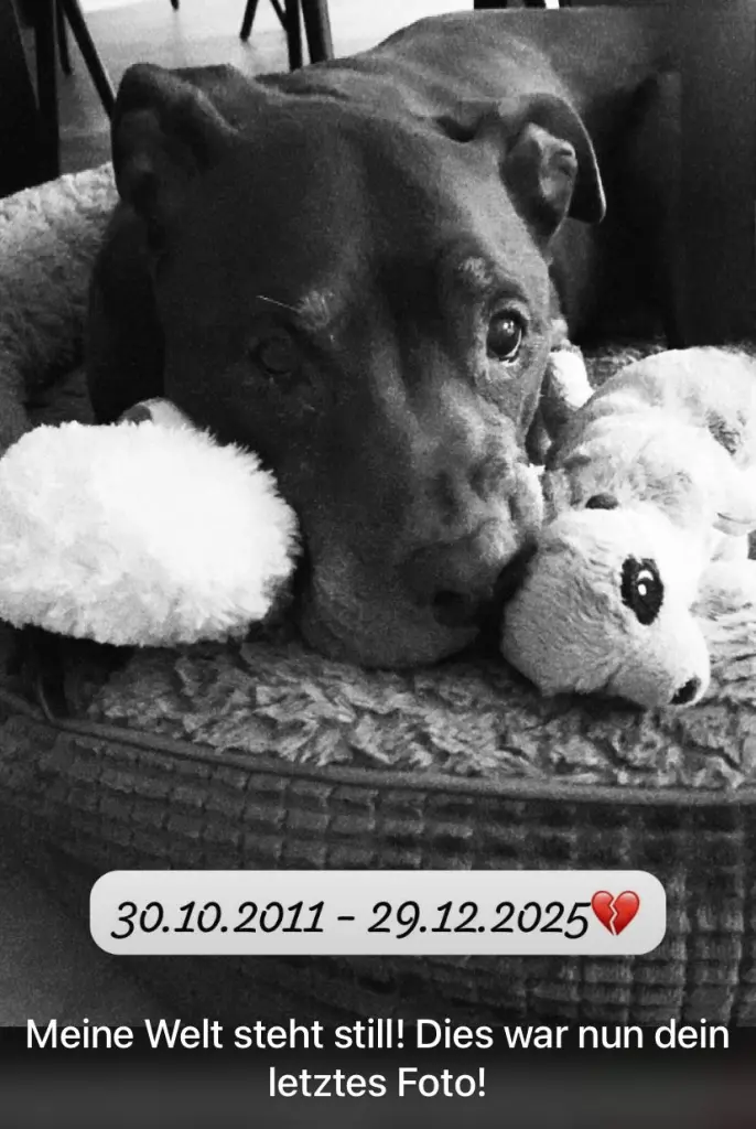 Andachtsbild von Udo Kretschmer