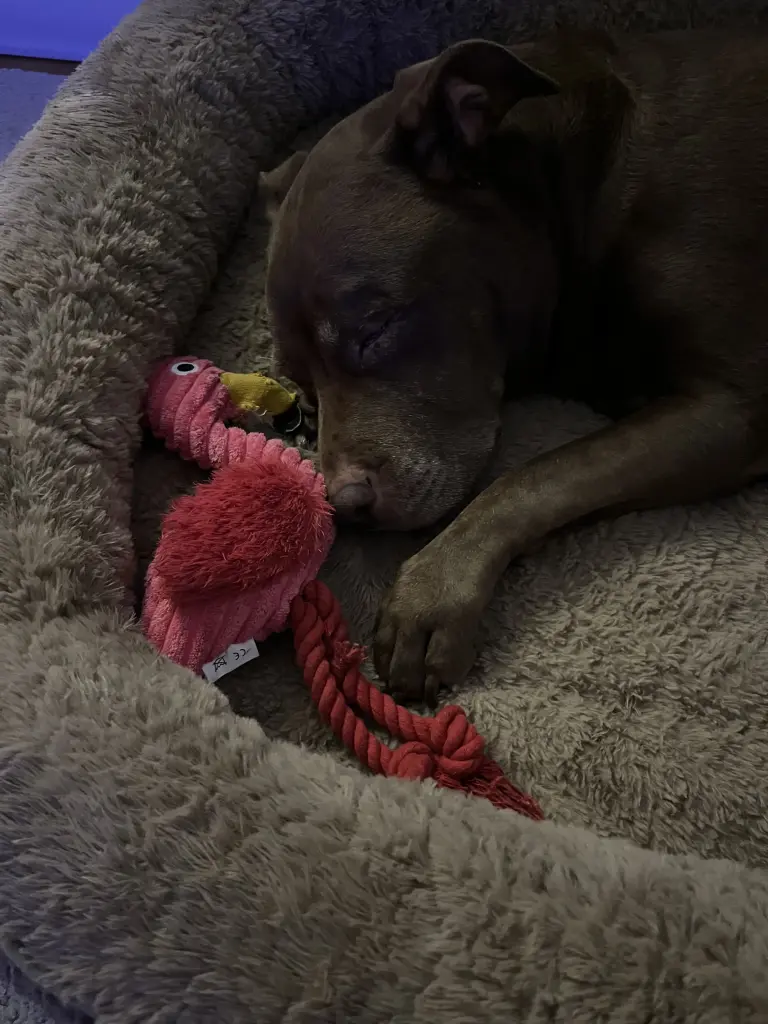 Andachtsbild von Marc Böder