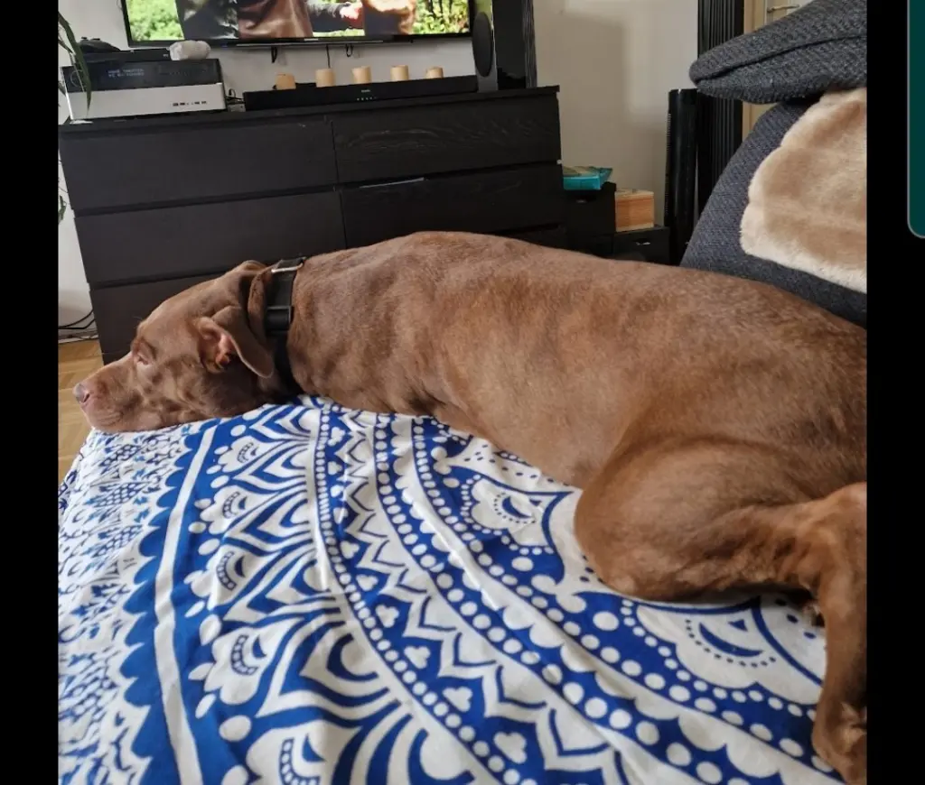 Andachtsbild von Basti VonNebenan