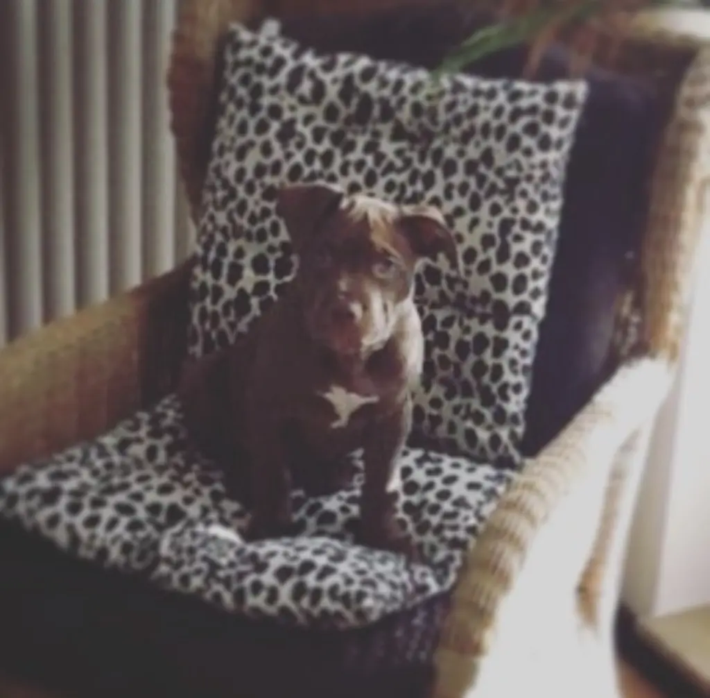 Andachtsbild von Stella Ludwig