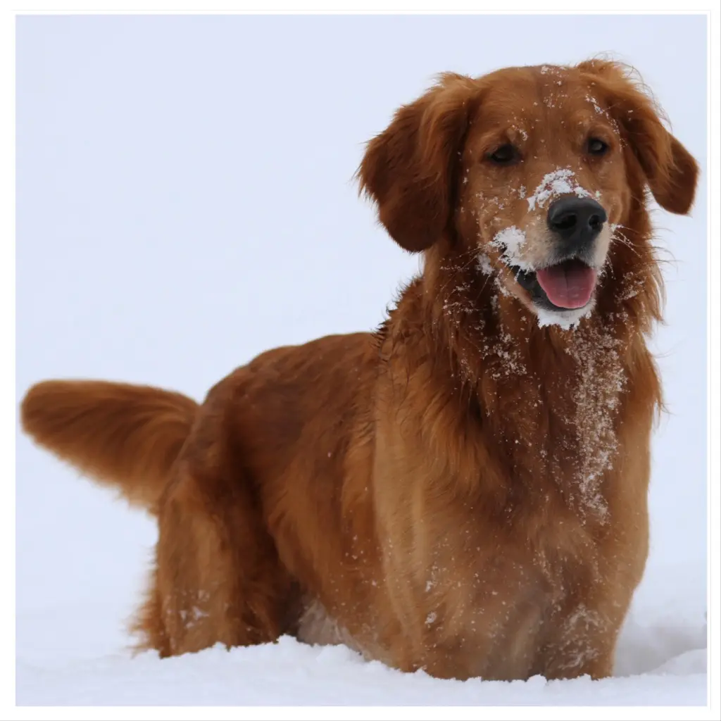 Gemeinsam durch alle Jahreszeiten