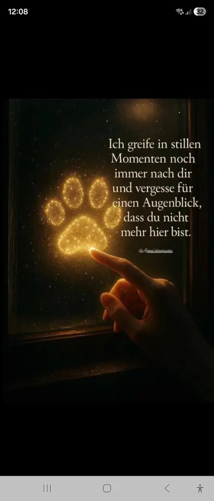 Condolence image of Anja