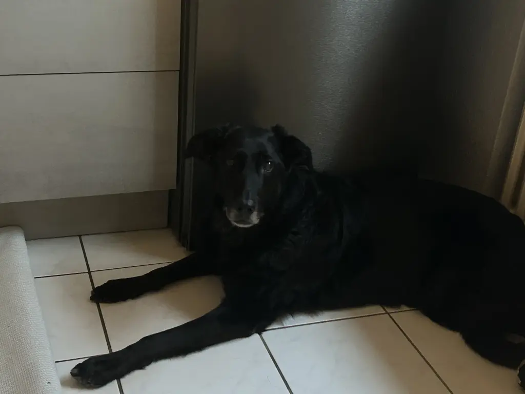 Andachtsbild von Dirk horst Lamatz