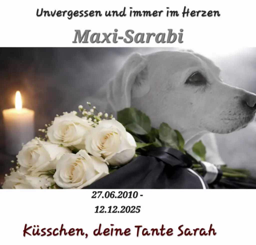 Condolence image of Sarah Preetzinger