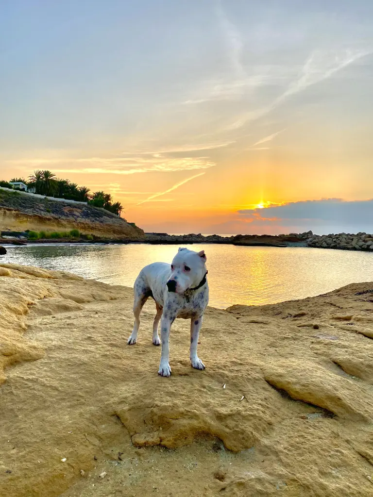 Condolence image of Paddy H.