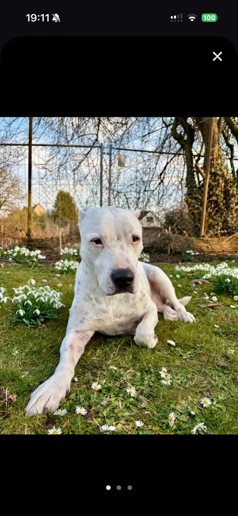 Condolence image of Daniela Herrmann