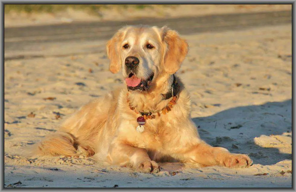 Andachtsbild von Kerstin mit Bolle