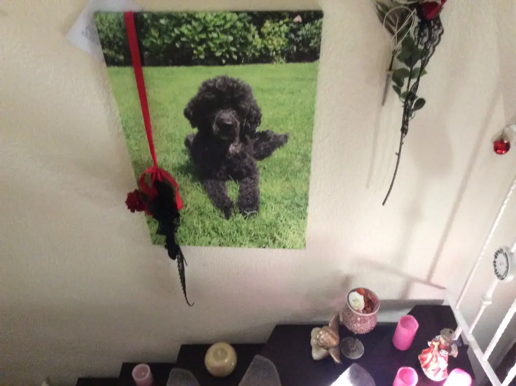 Andachtsbild von Heidelore