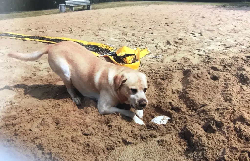 Andachtsbild von Elzbieta mit Max im Herzen