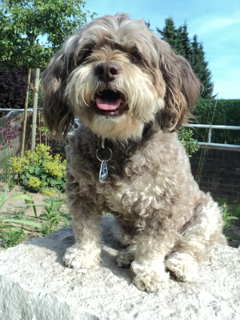 Andachtsbild von Bettina