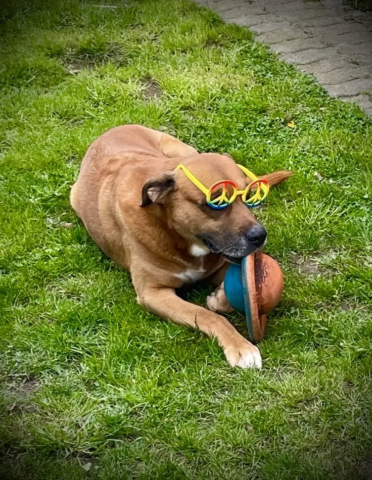 Andachtsbild von Christian