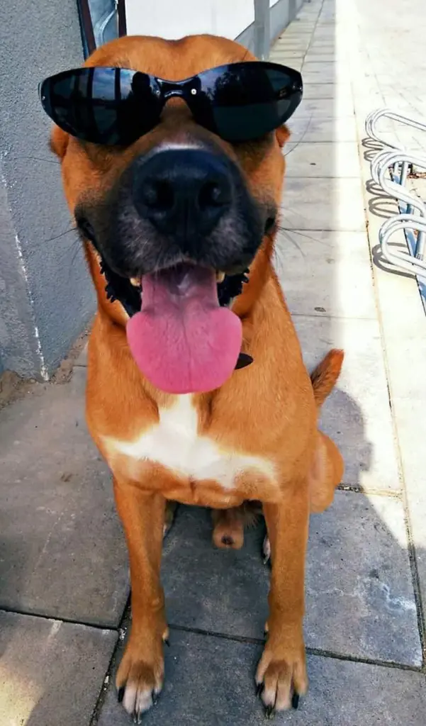 An den Tag hast du den Fahrrad Ständer raus gerissen 😂❤️