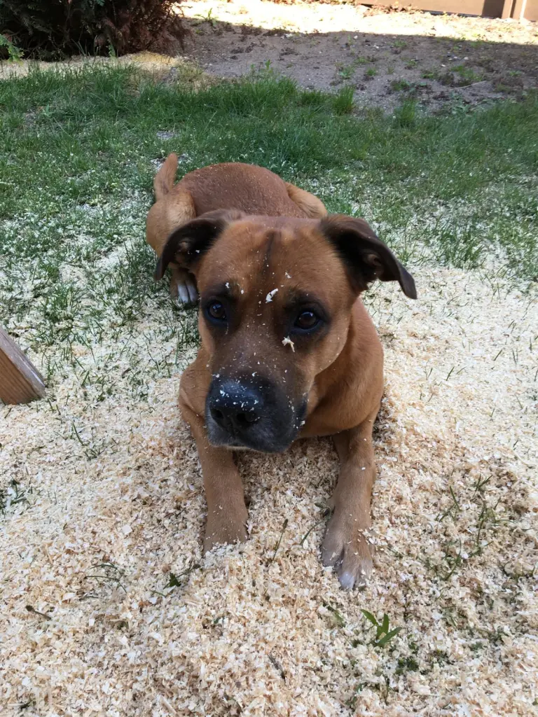 Späne mochtest du einfach 💖😘❤️